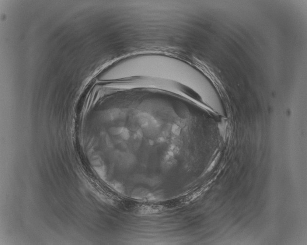 X0000083640346200703051706