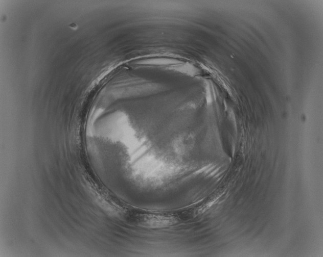 X0000083640347200703051706