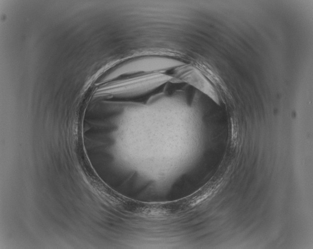 X0000083640348200703051706