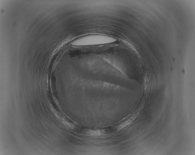 X0000083640349200703051706