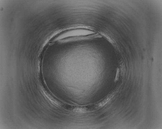 X0000083640350200703051706