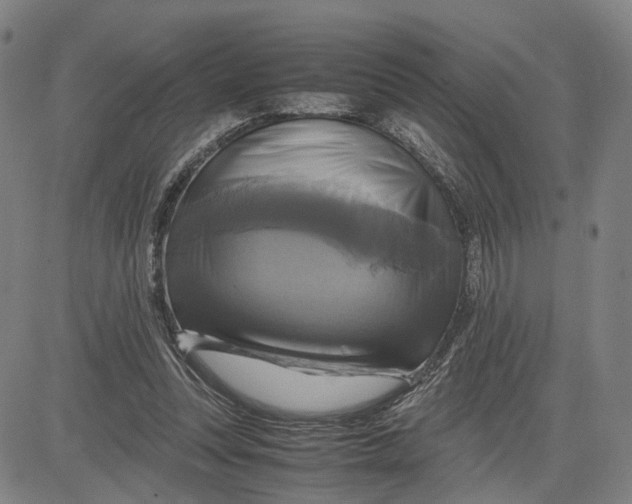 X0000083640351200703051706