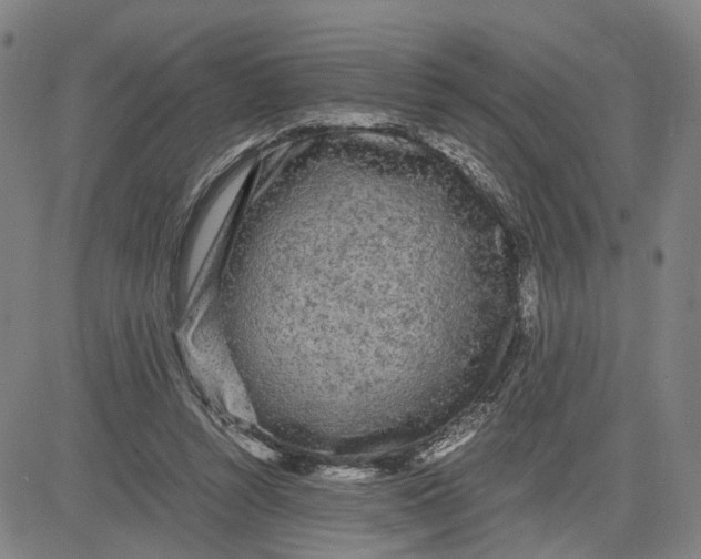 X0000083640352200703051706