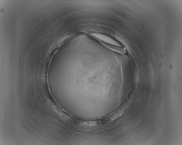 X0000083640353200703051706