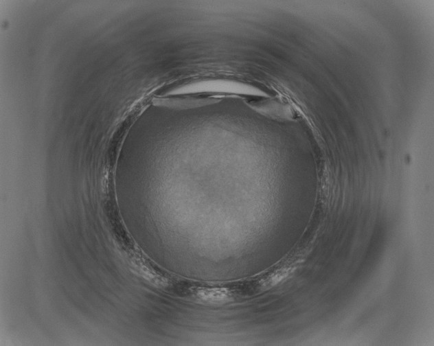 X0000083640355200703051706