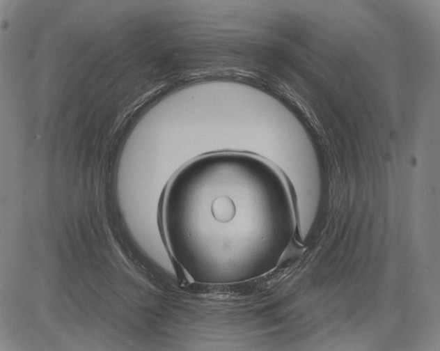 X0000083640356200703051706