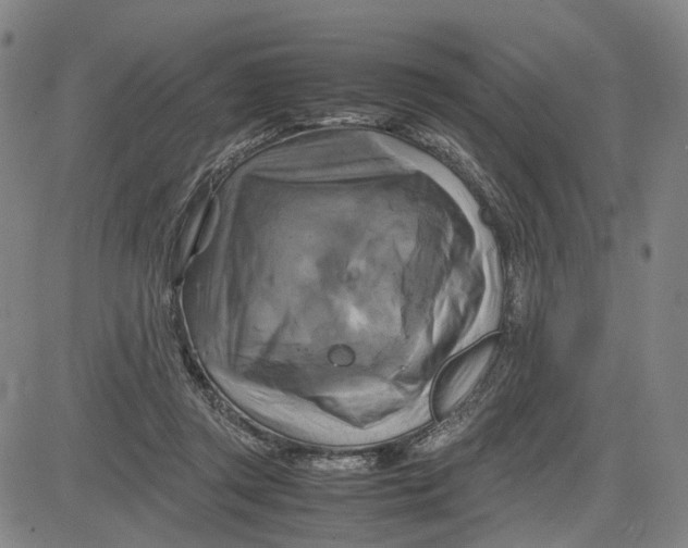 X0000083640357200703051706