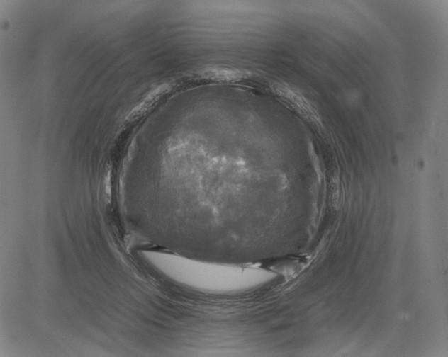 X0000083640358200703051706