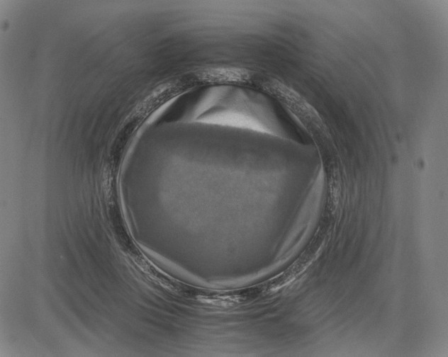 X0000083640359200703051706