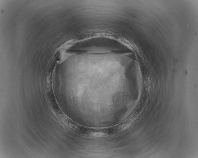 X0000083640360200703051706