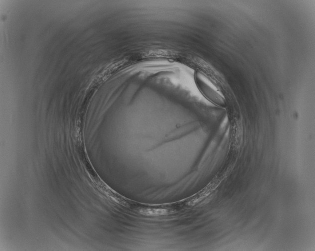 X0000083640361200703051706