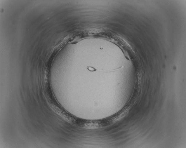 X0000083640362200703051706