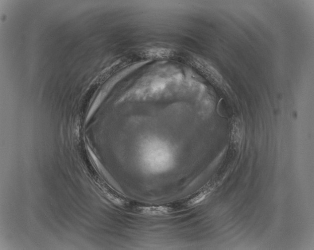 X0000083640363200703051706