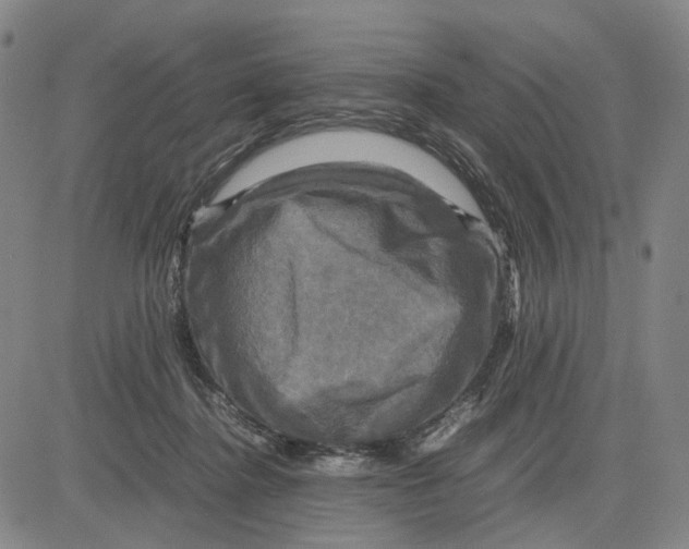 X0000083640364200703051707