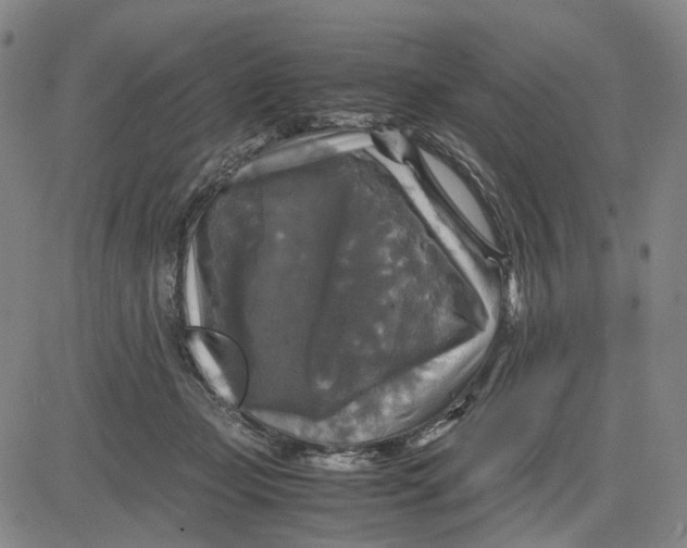 X0000083640365200703051707