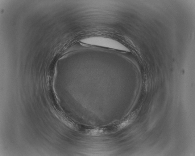 X0000083640366200703051707