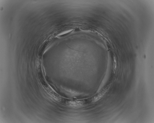 X0000083640367200703051707