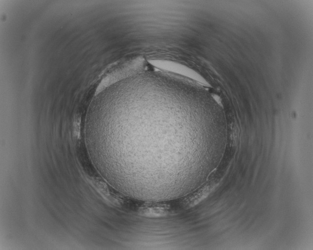 X0000083640368200703051707