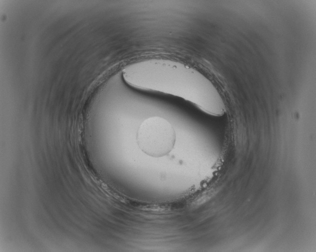 X0000083640370200703051707