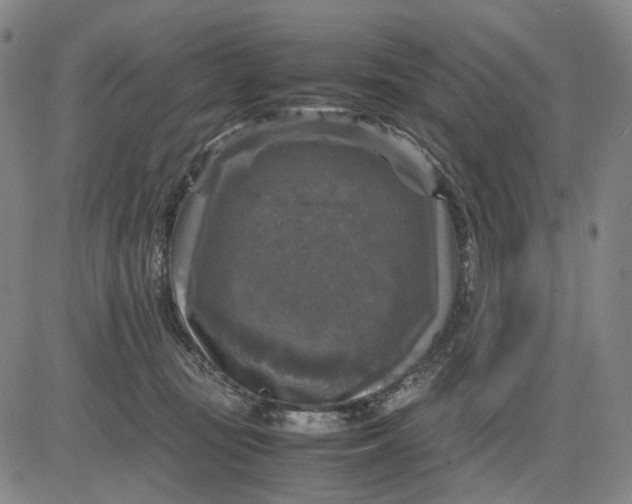 X0000083640371200703051707