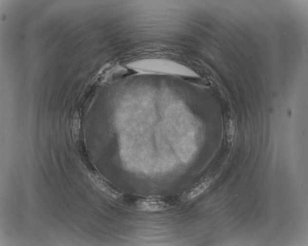 X0000083640372200703051707