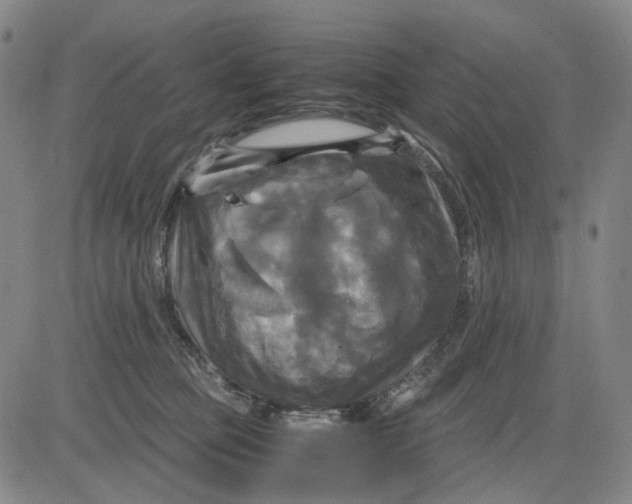 X0000083640373200703051707