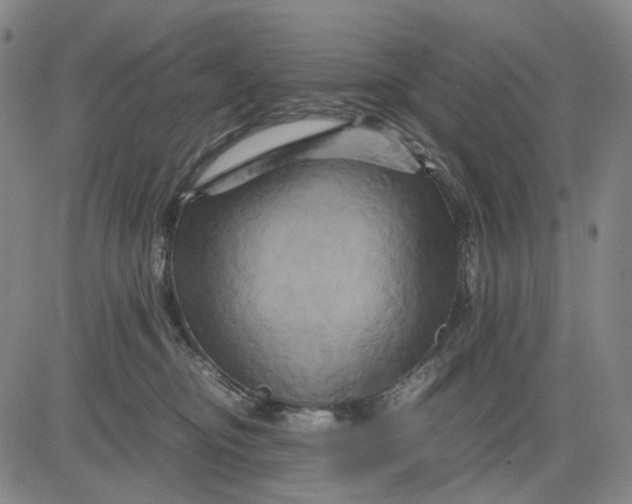 X0000083640374200703051707