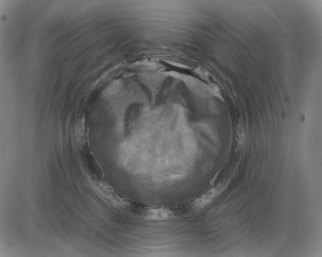 X0000083640376200703051707