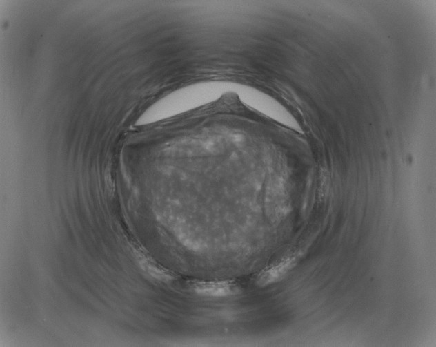 X0000083640377200703051707