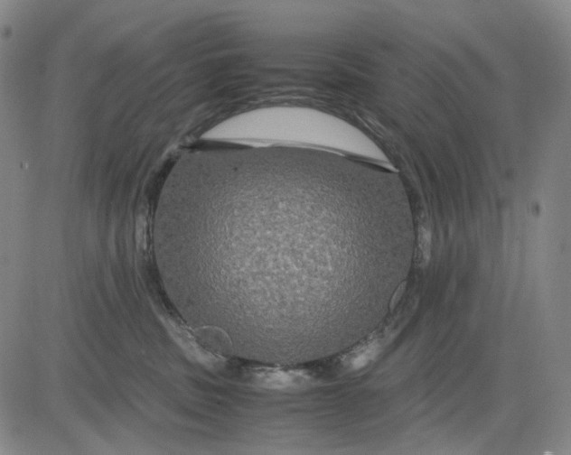 X0000083640379200703051707