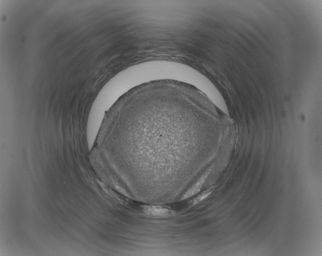 X0000083640380200703051707