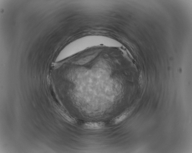 X0000083640381200703051707