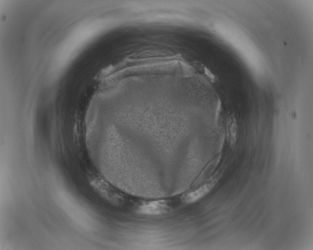 X0000083640382200703051707