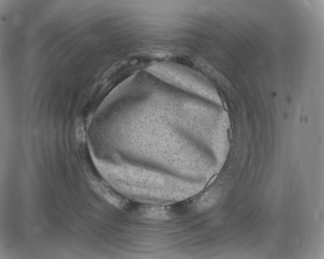 X0000083640384200703051707