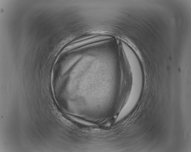 X0000083640385200703051706