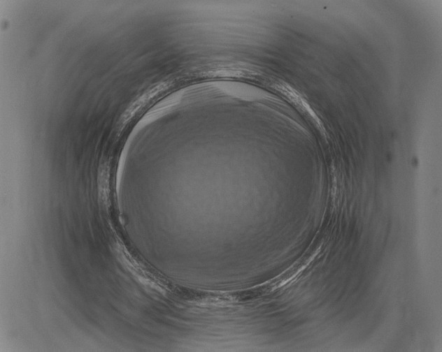 X0000083640386200703051706