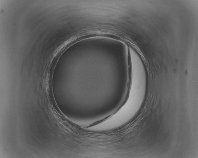 X0000083640387200703051706