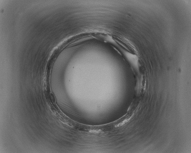 X0000083640388200703051706