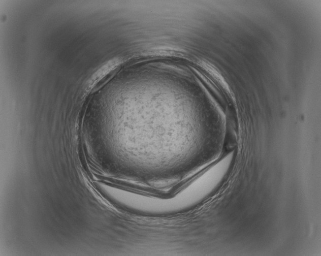 X0000083640389200703051706