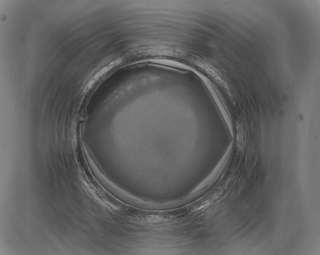 X0000083640390200703051706