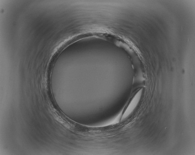 X0000083640391200703051706