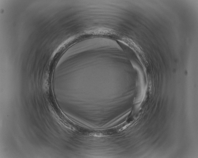 X0000083640392200703051706