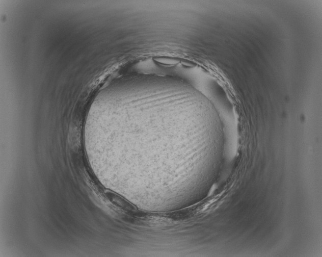 X0000083640393200703051706