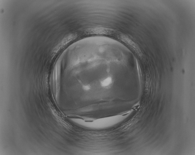 X0000083640394200703051706