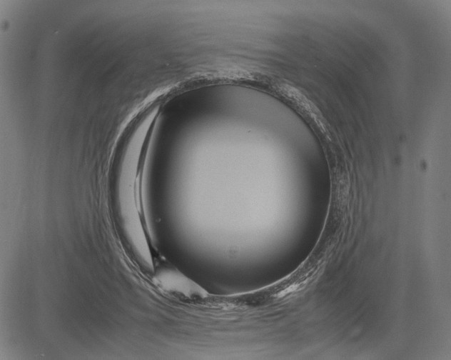 X0000083640395200703051706