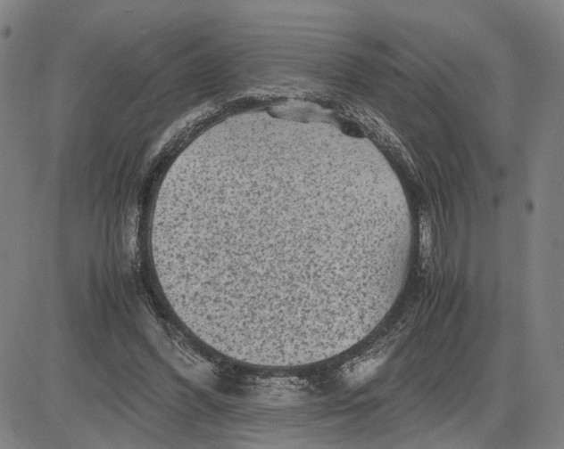 X0000083640396200703051706