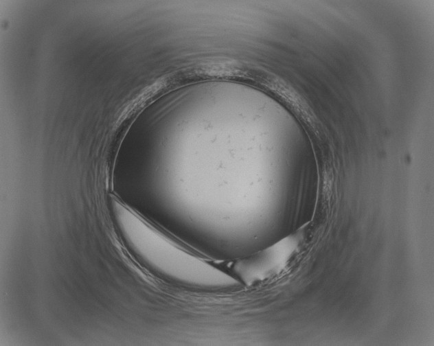 X0000083640397200703051706