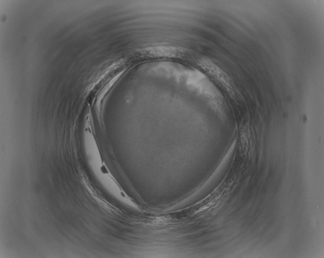 X0000083640398200703051706