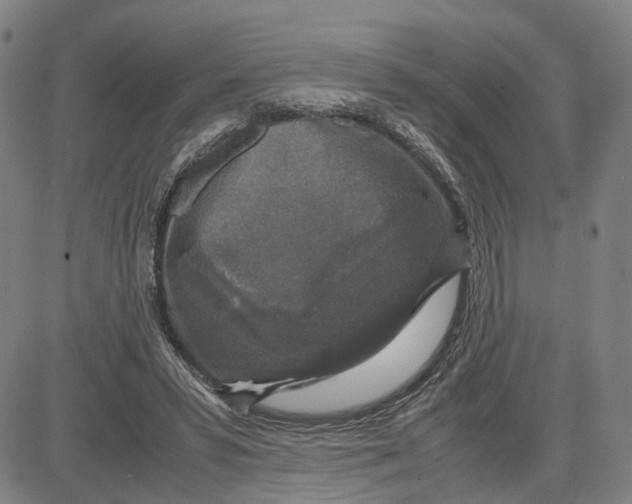 X0000083640399200703051706