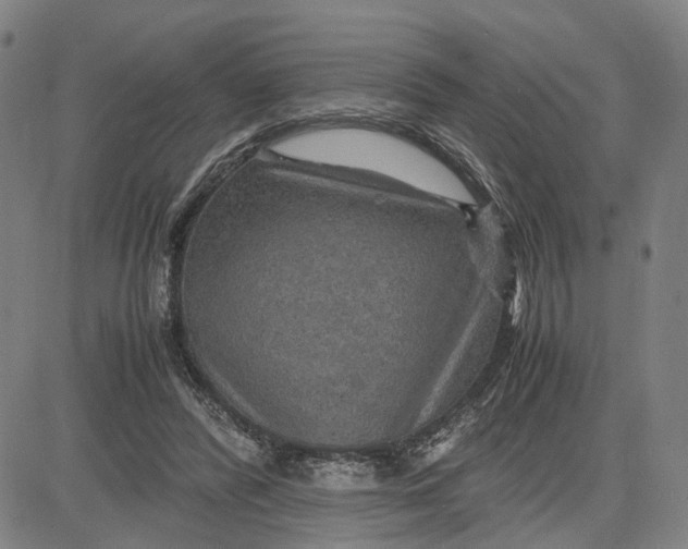 X0000083640400200703051706